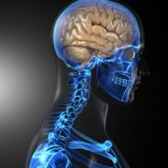 Consulting With a Brain Injury Lawyer